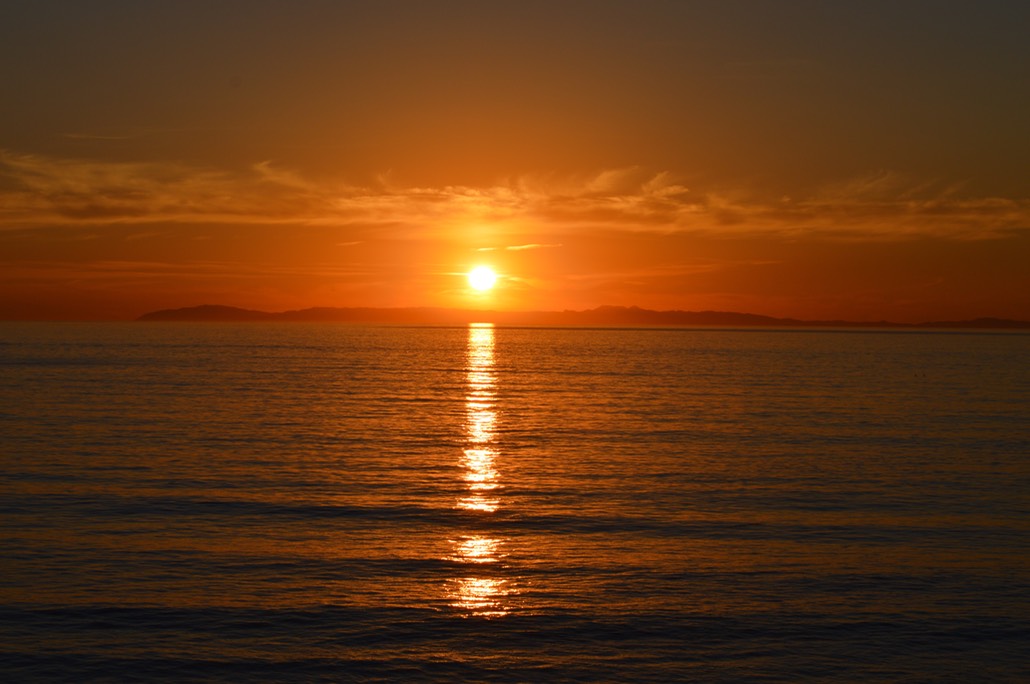 DSC_0174