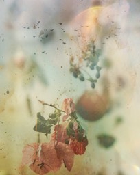 MyPhoto