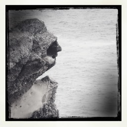 Point Lobos10