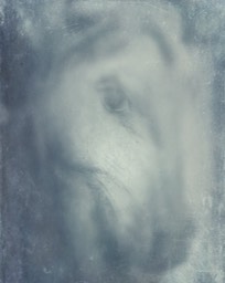 Pony